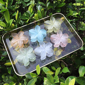 Sisiaipu Hawaiian flower claw clip in Blue