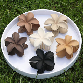 Sisiaipu Hawaiian Plumeria Flower Claw Hair Clip in Brown