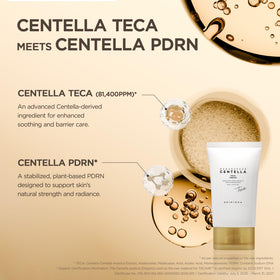 SKIN1004 Madagascar Centella TECA Cream ingredients list