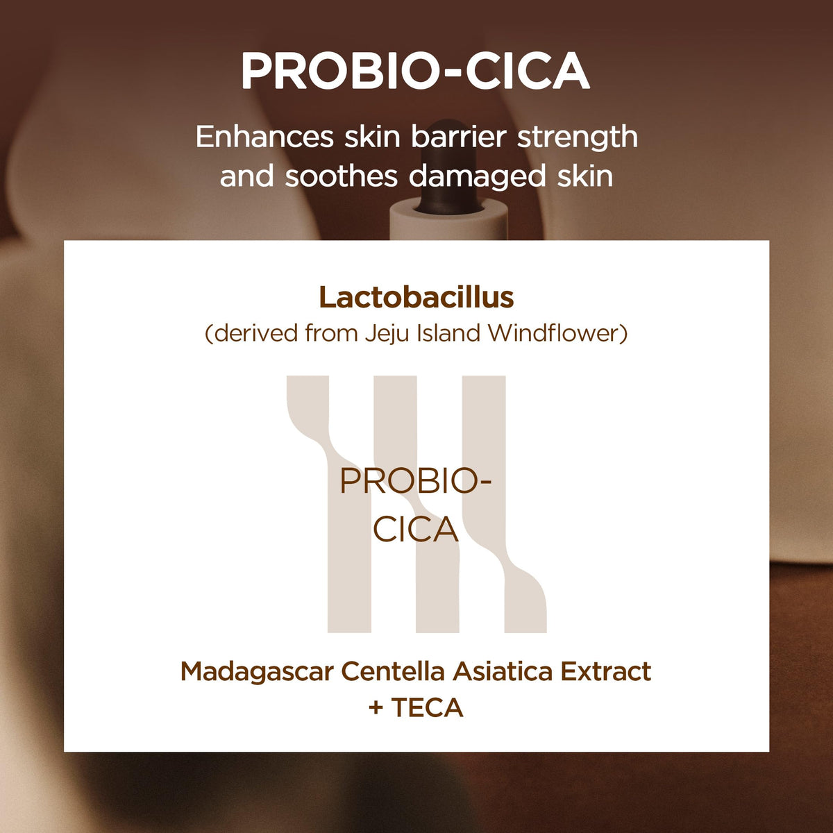 SKIN1004 Probio Cica Intensive Ampoule 95ml dropper