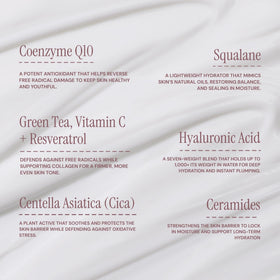 Skincare Junkie Megadose Super Antioxidant Face Moisturizer lifestyle scene