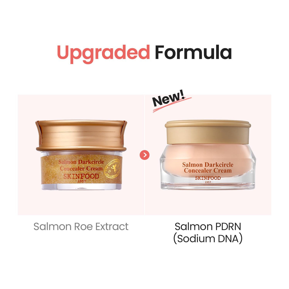 SKINFOOD Salmon PDRN Concealer Cream applicator