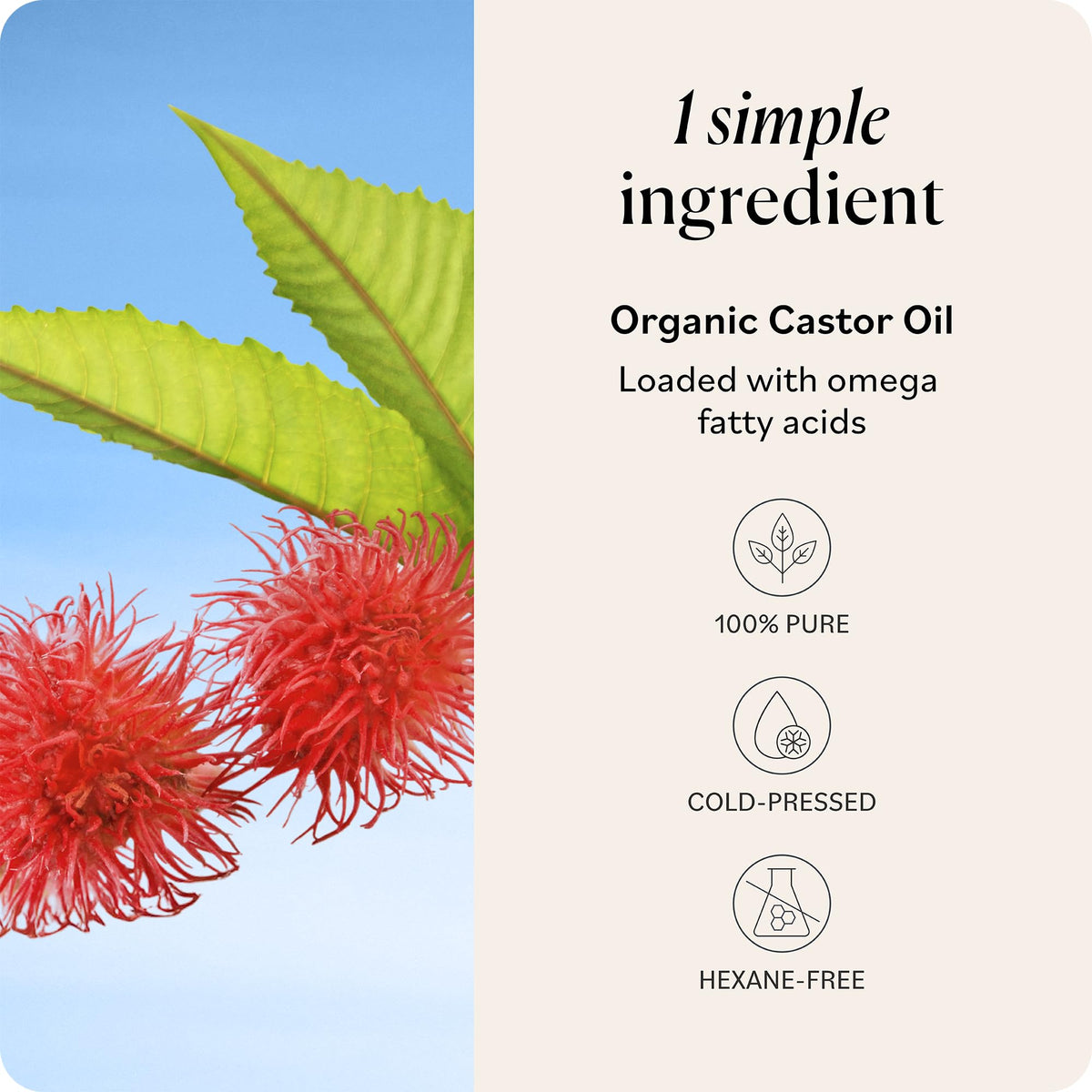 Sky Organics Organic Castor Oil 8oz with dropper
