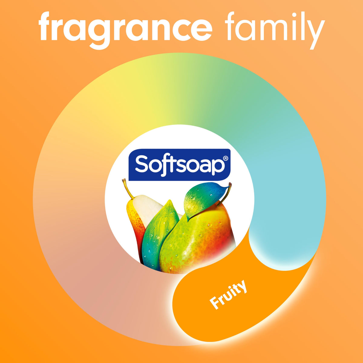 Softsoap Antibacterial Hand Soap being poured into hands