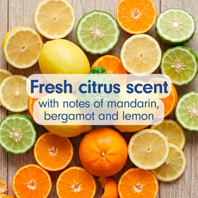 Softsoap Antibacterial Hand Soap Fresh Citrus label close-up