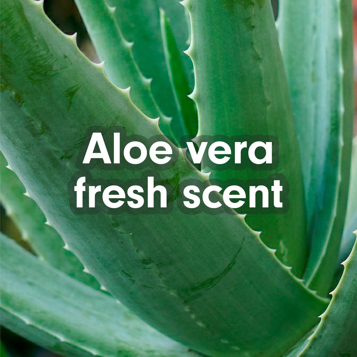 Softsoap Liquid Hand Soap Aloe Vera 7.5 Fl Oz back view