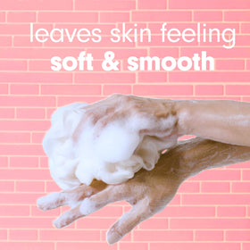 Softsoap Moisturizing Body Wash Pump 32oz packaging details