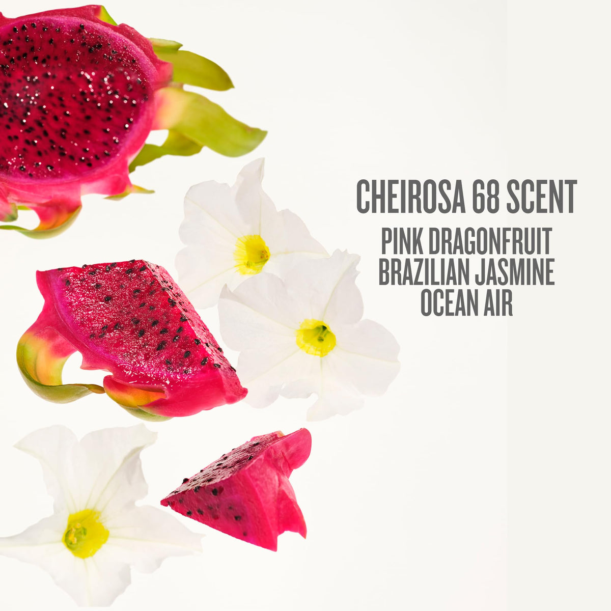 Sol de Janeiro Beija Flor Elasti-Cream 75mL lifestyle scene