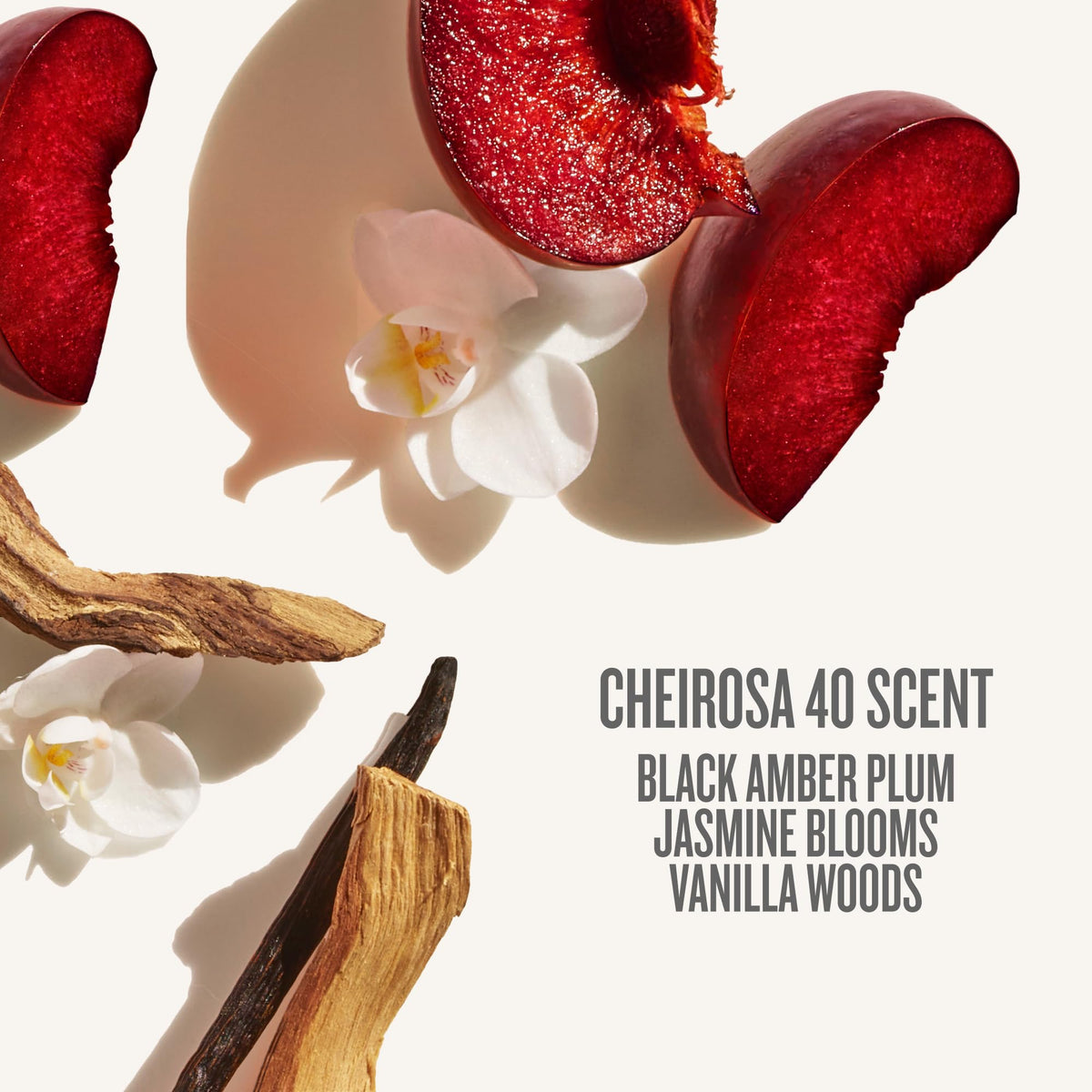 Sol de Janeiro Bom Dia AHA Body Cream in use on skin