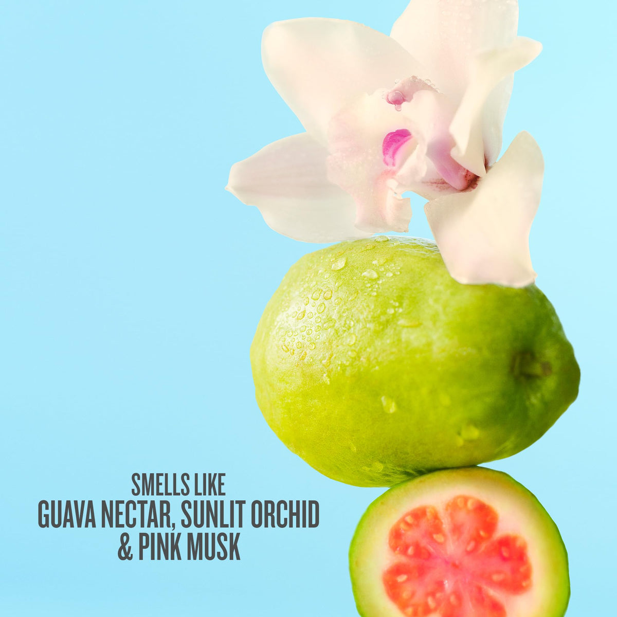 Sol de Janeiro Cheirosa 48 Hair & Body Fragrance Mist 240mL side view
