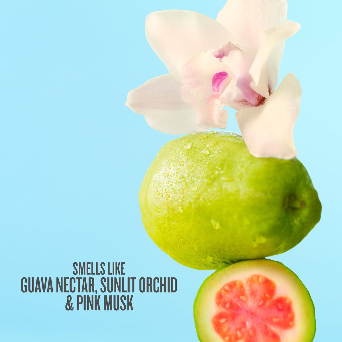 Sol de Janeiro Cheirosa Hair & Body Mist bundle packaging