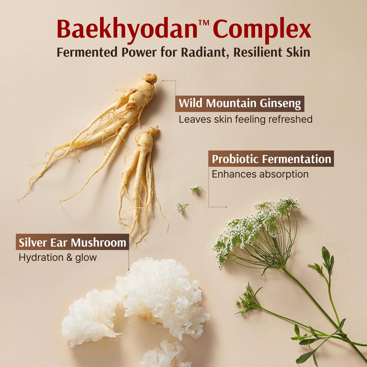 Sooryehan Fermented Essence bottle