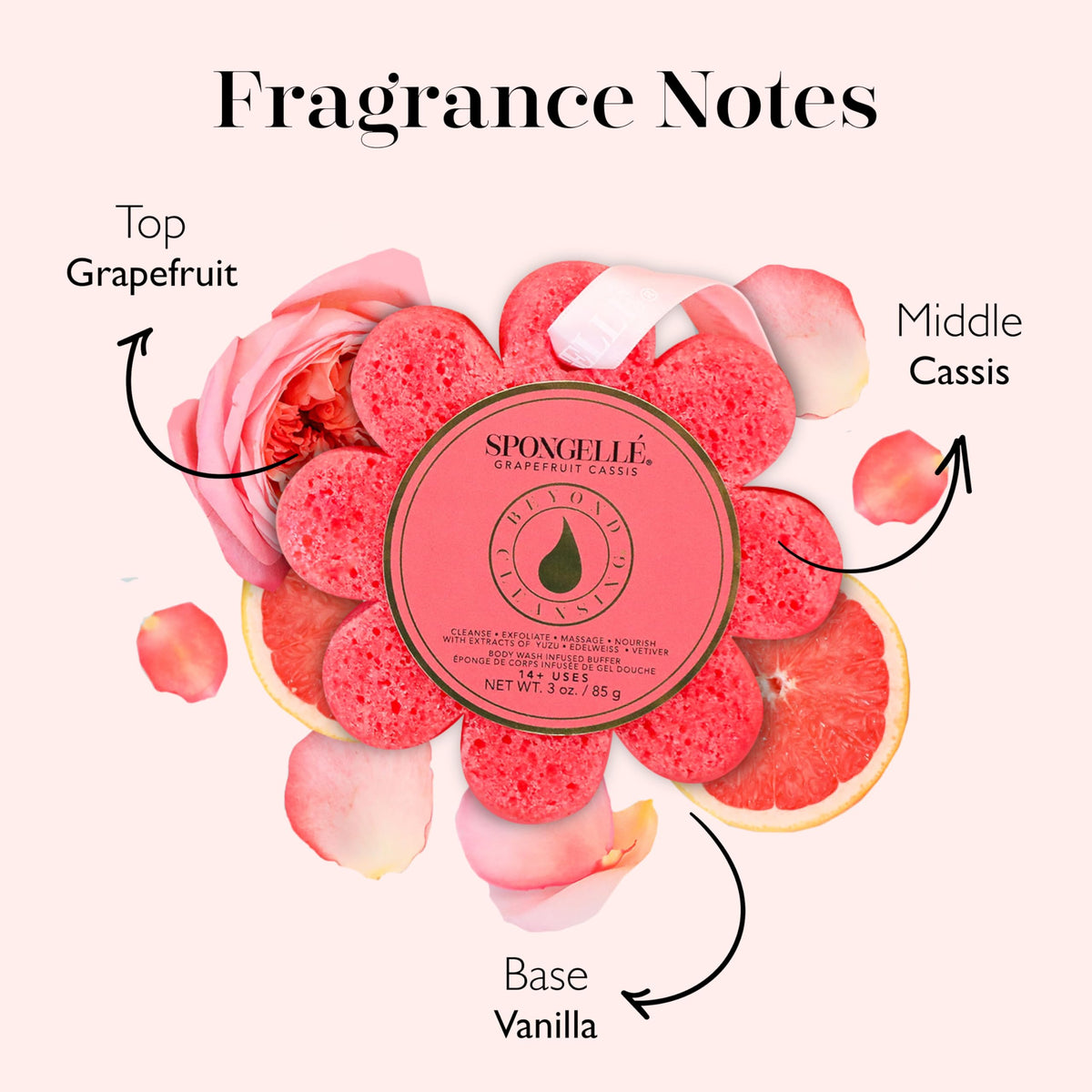 SPONGELLÉ Grapefruit Cassis Bath Sponge in use under warm water