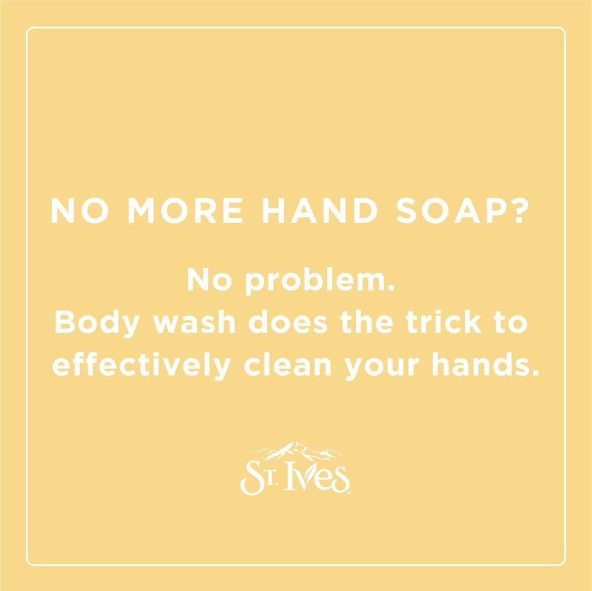 St. Ives Body Wash 16 Oz alongside a towel and soap dish