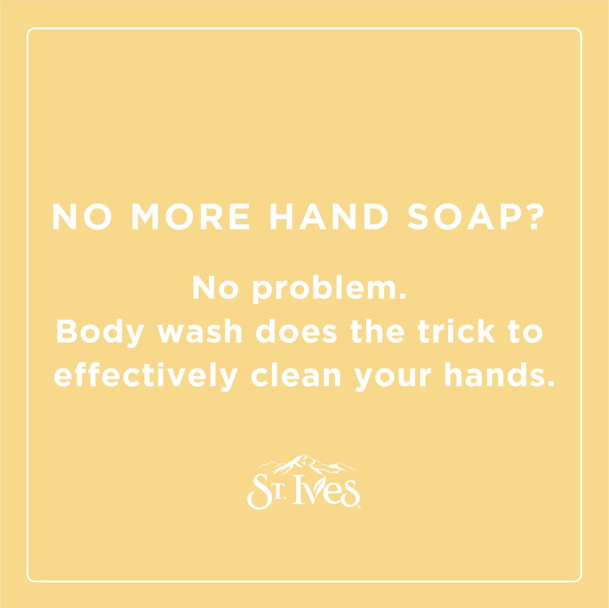 St. Ives body wash 6-pack display
