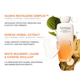 Sulwhasoo Essential Revitalizing Water EX with a teaspoon for application