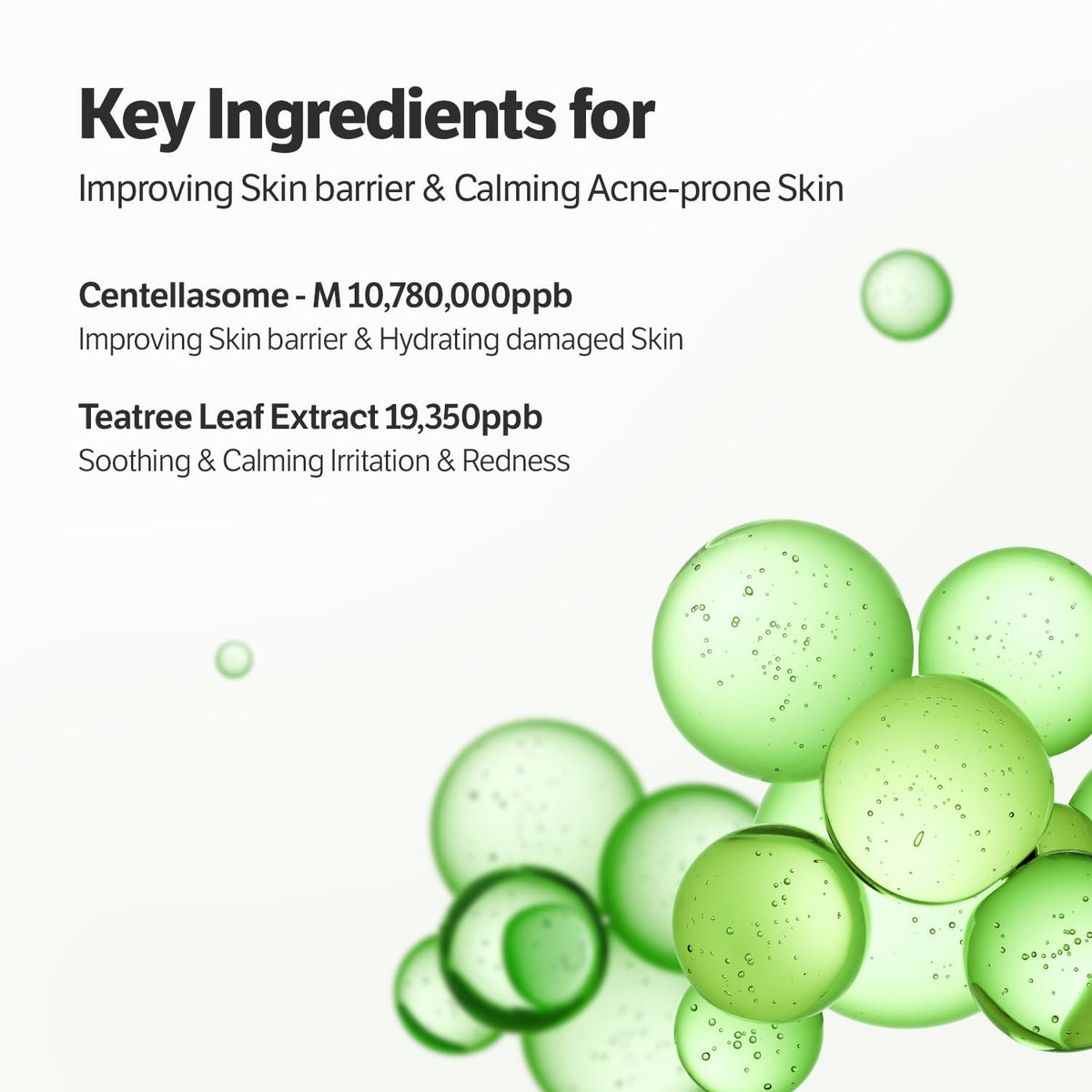 SUNGBOON EDITOR Deep Collagen CICA Tea Tree Overnight Mask texture close-up