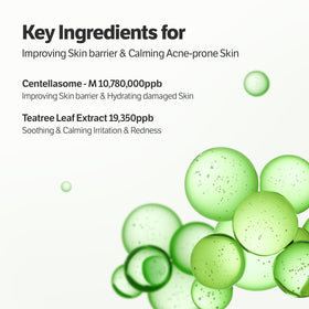 SUNGBOON EDITOR Deep Collagen CICA Tea Tree Overnight Mask texture close-up