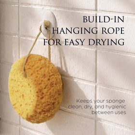 Sunlite Sports Spongentle Loofah Sponge in natural colours
