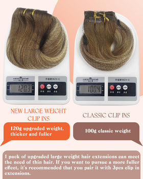 Sunny Hair Clip-in Hair Extensions Light Brown Ombre back view