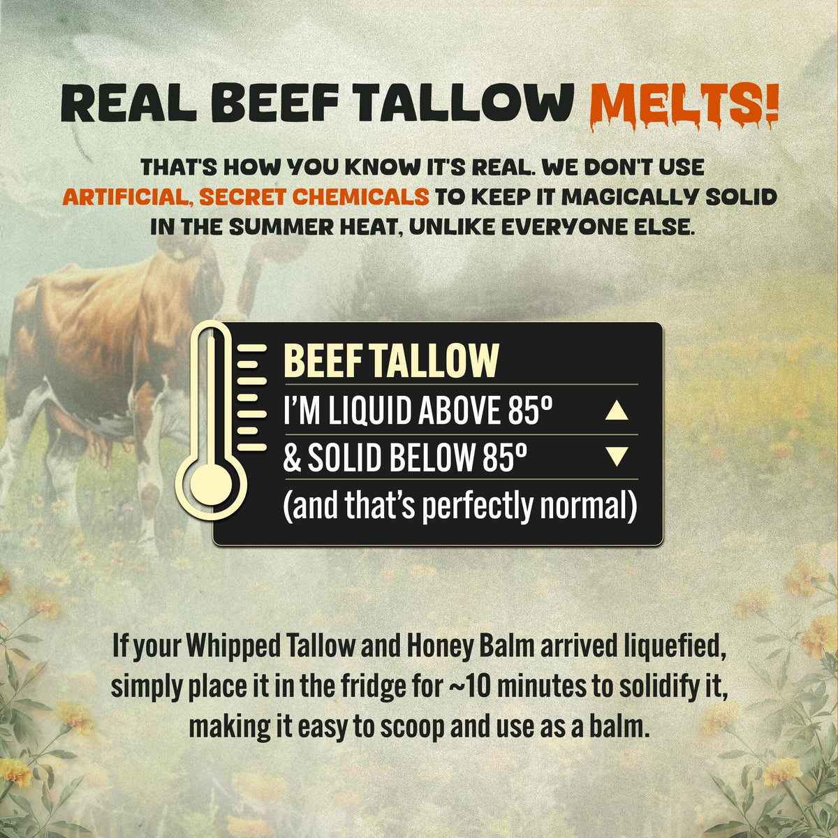 TALLOW BODY BALM Whipped Beef Tallow and Honey Moisturizer application on skin