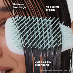 TANGLE TEEZER Mini Hair Brush with packaging