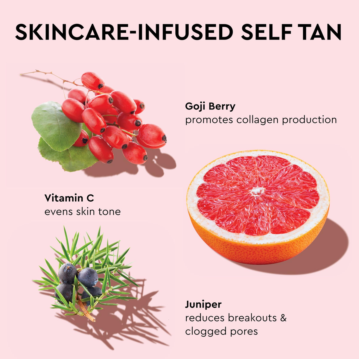 Tanologist Medium Mini Self Tan Water packaging