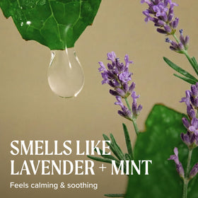 Tea Tree Lavender Mint Conditioner in a bathroom setting