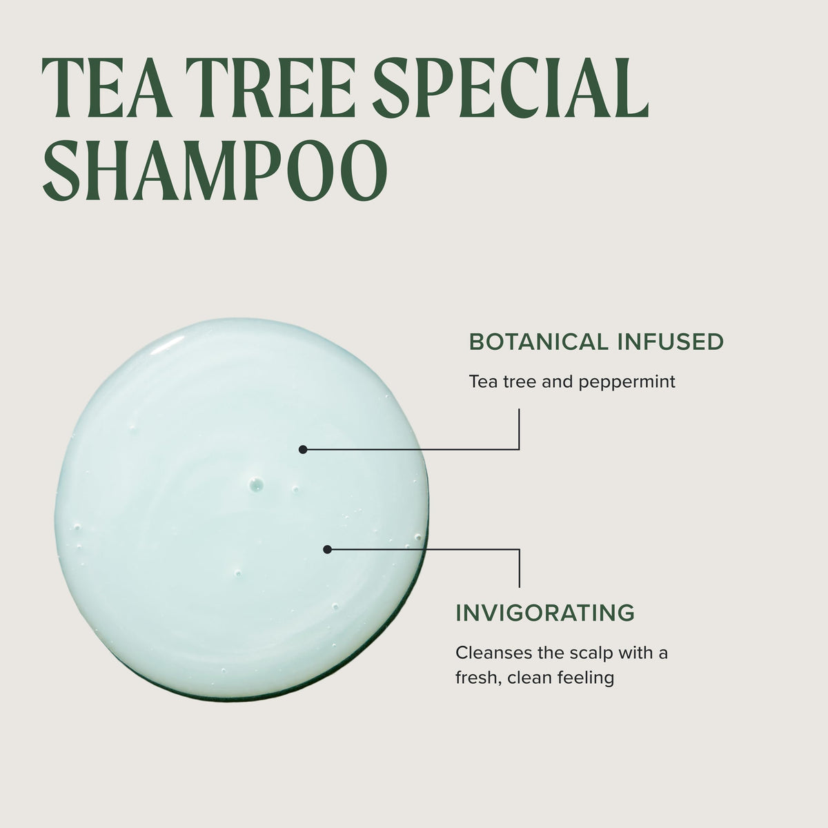 Tea Tree Shampoo Bar with a background of natural elements