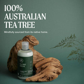 Tea Tree Special Conditioner with refill pouch