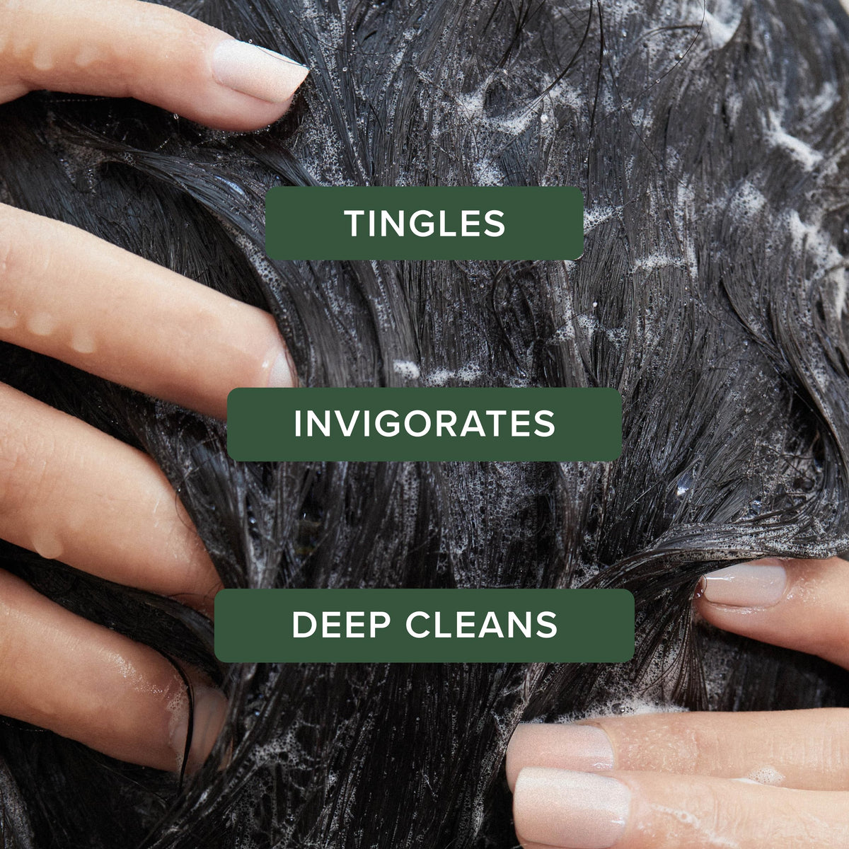 Tea Tree Special Shampoo 33.8 fl. oz. side view highlighting the tingle complex