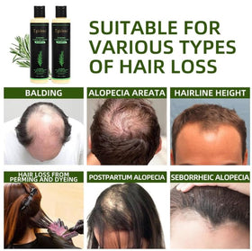 Tgideas Rosemary Shampoo application on hair