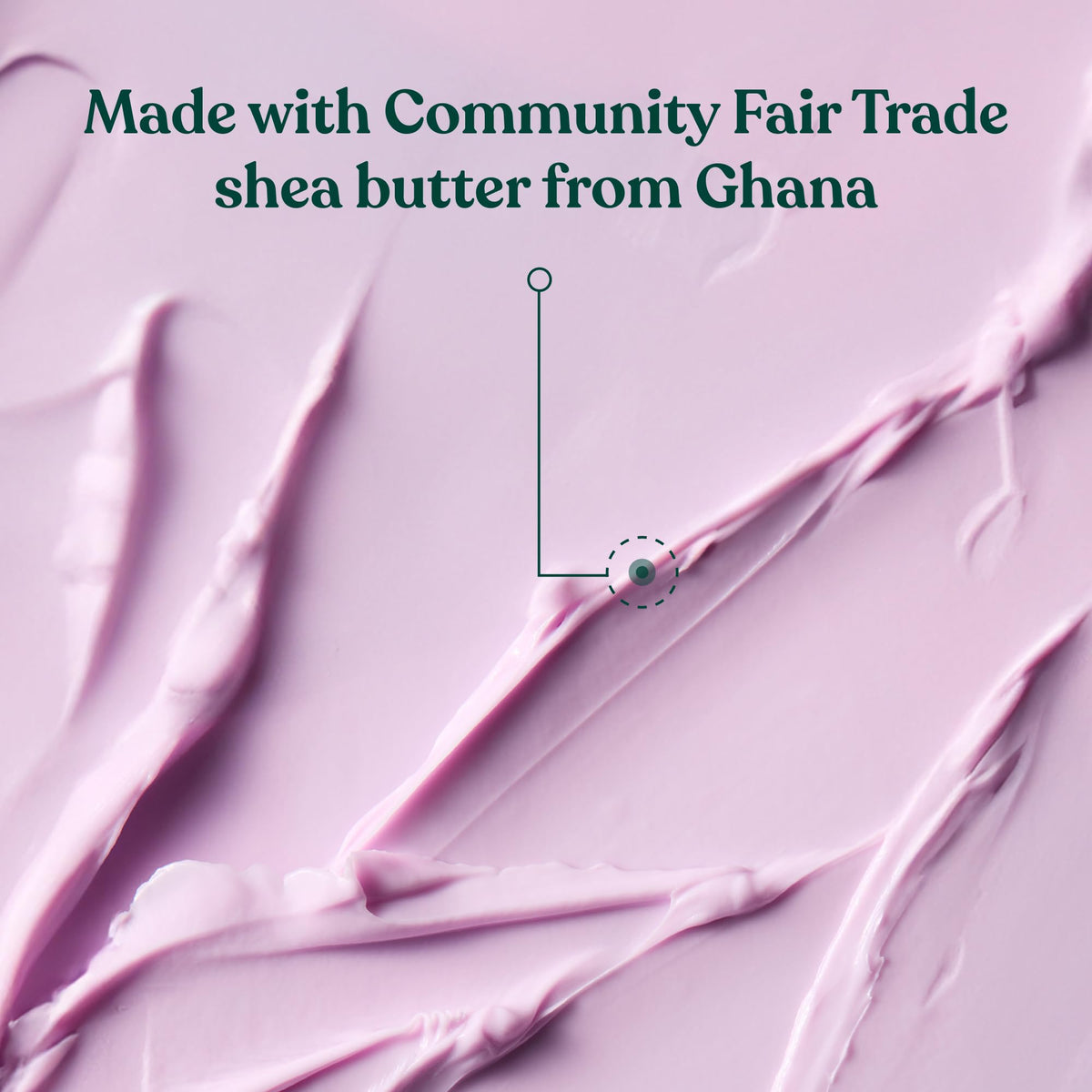 The Body Shop Dewberry Body Butter packaging side view