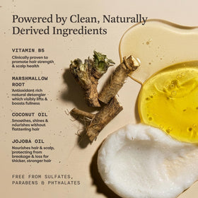 The Earthling Co. Shampoo Bar Citrus Sun packaging
