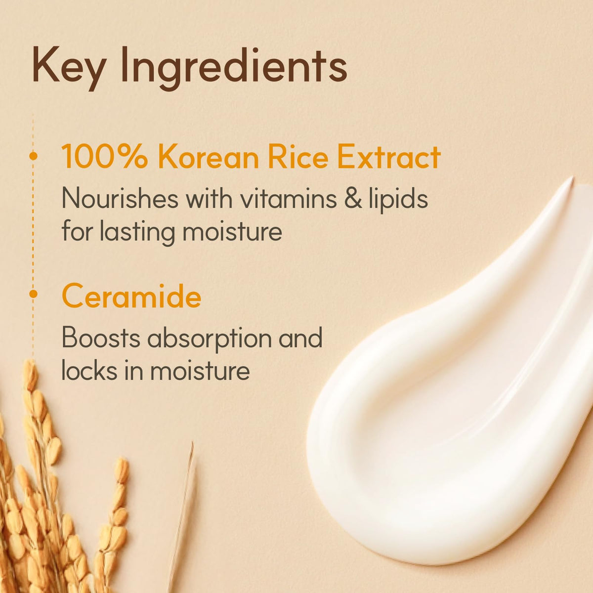 The Face Shop Rice Ceramide Cream alongside rice grains