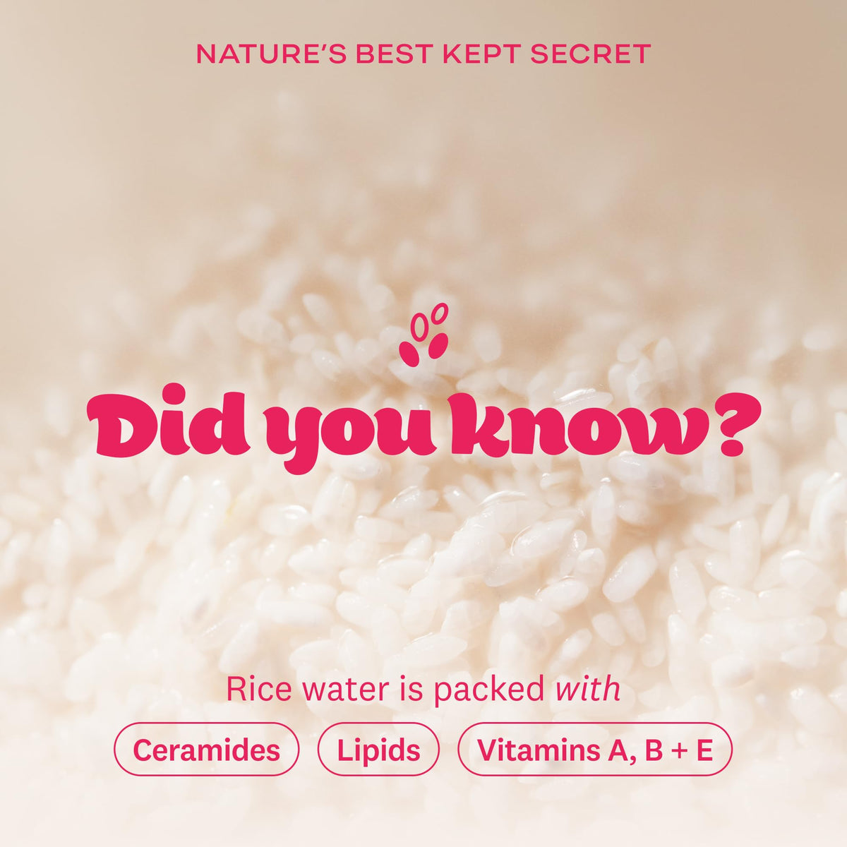 The Face Shop Rice Water Bright Foaming Cleanser packaging details