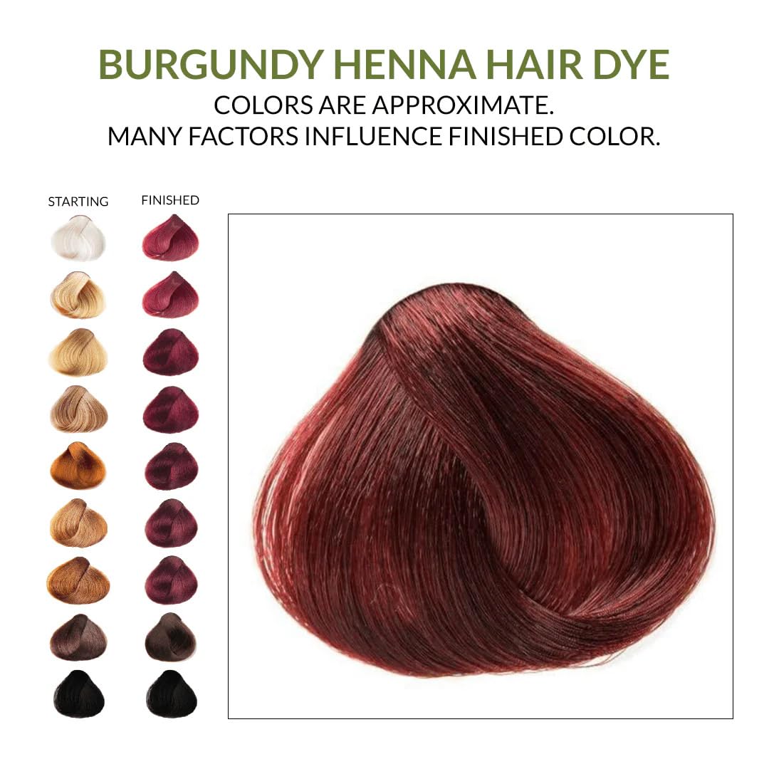 The Henna Guys Burgundy Henna Hair & Beard Dye in a bowl