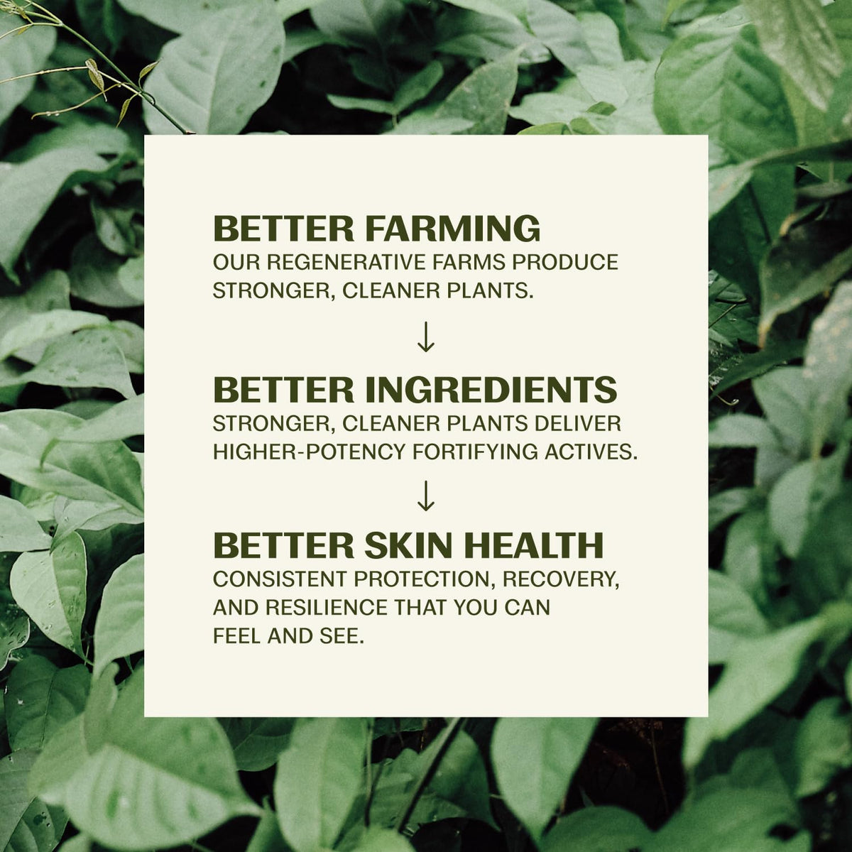 Thrive Natural Care sunscreen showing minimal white cast when applied