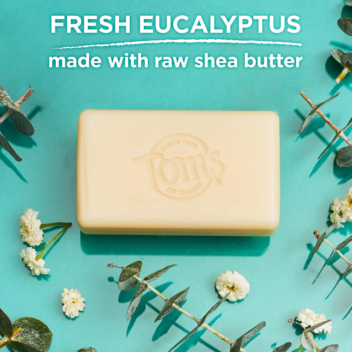 Tom's of Maine Natural Beauty Bar Soap Fresh Eucalyptus with ingredients