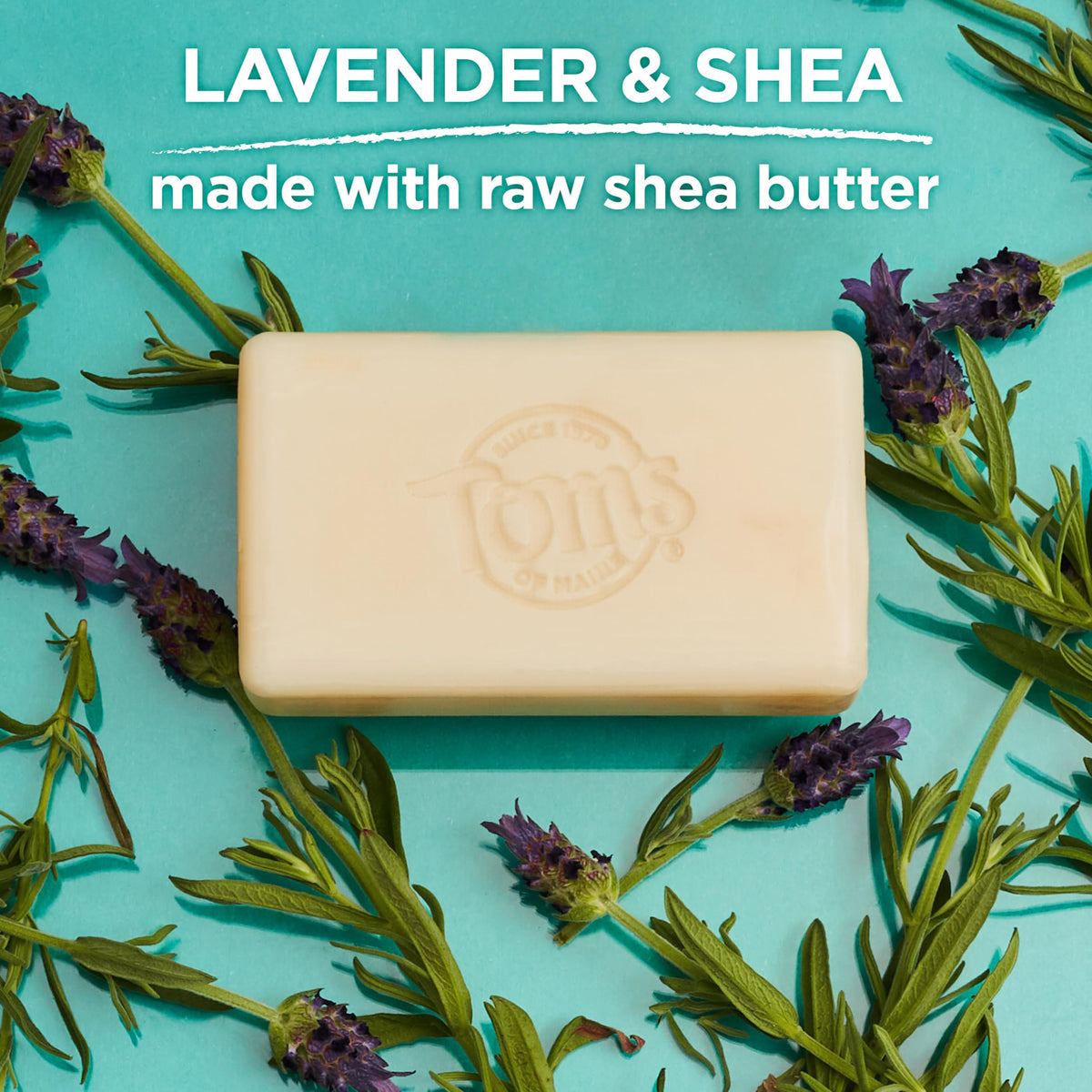 Tom's of Maine Natural Beauty Bar Soap Lavender & Shea stacked bars