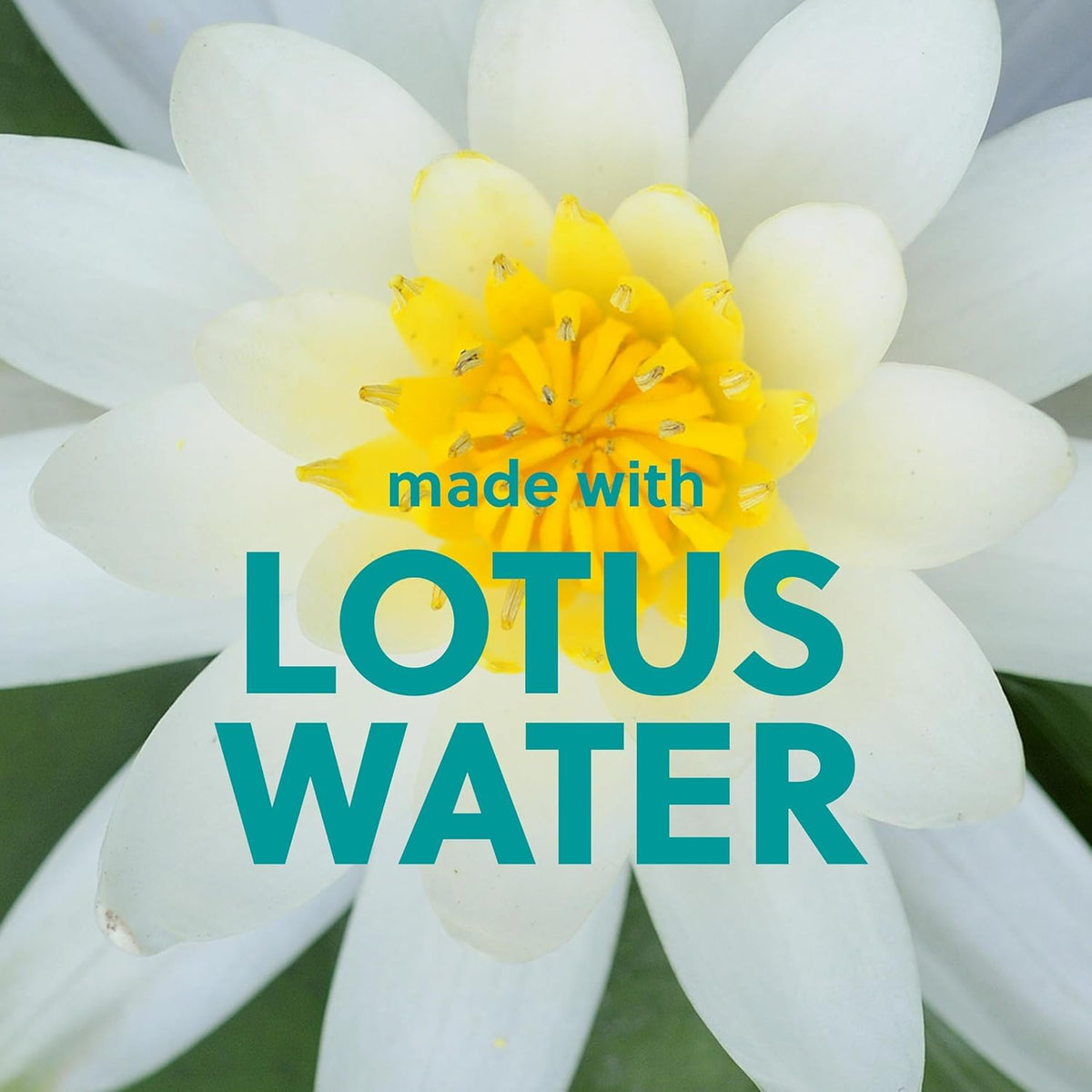 Tree Hut Lotus Water Whipped Body Butter 8.4 Oz with ingredients