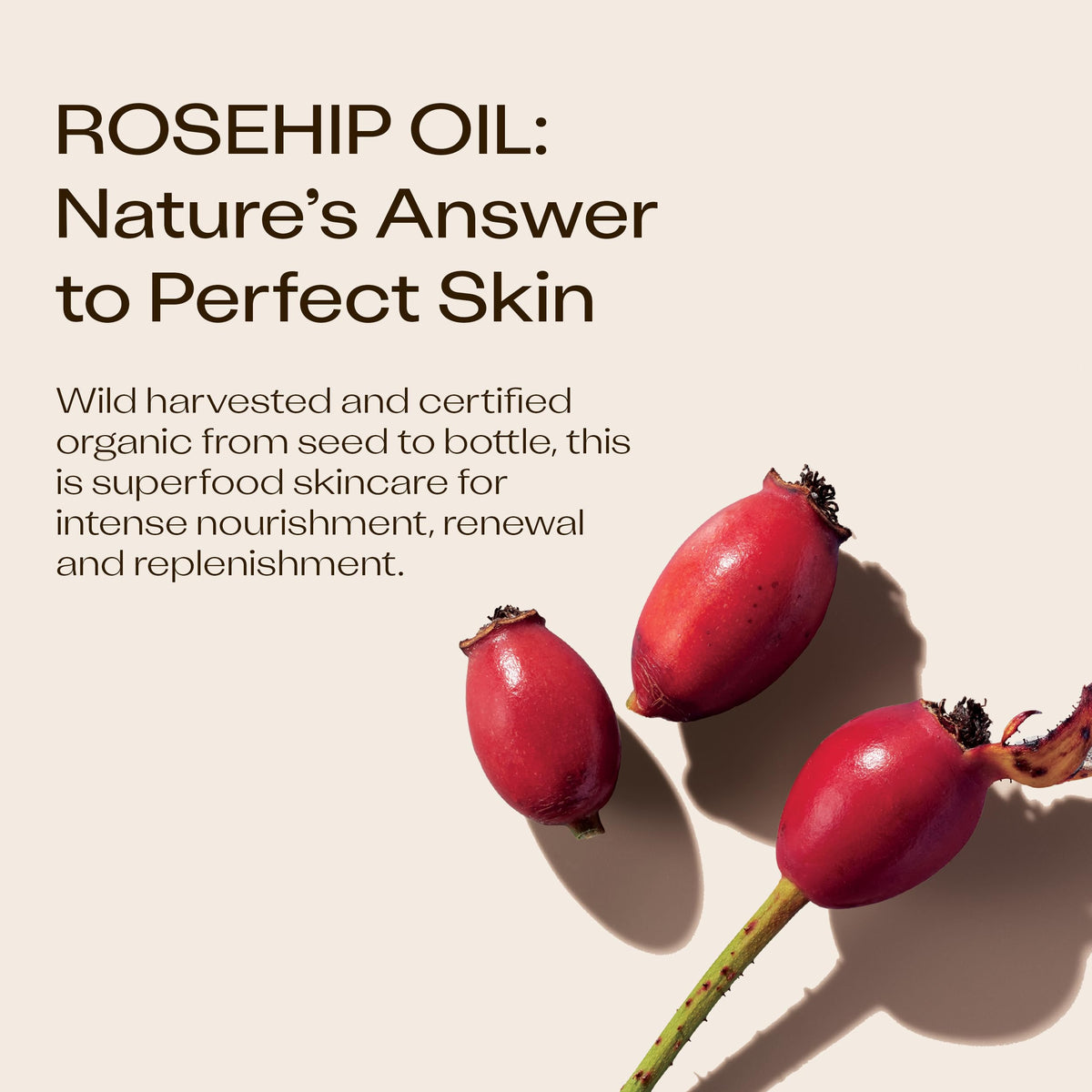 Trilogy Rosehip Oil Duo with natural ingredients background