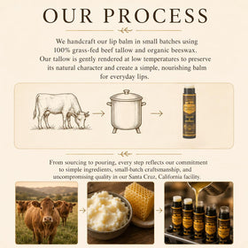 Untamed Organics Pure Tallow Lip Balm packaging on a wooden surface