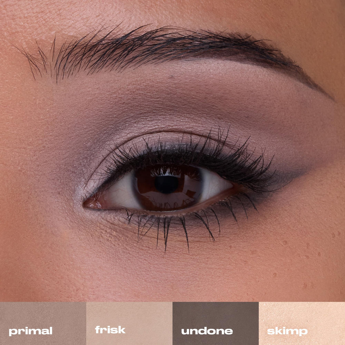 URBAN DECAY Naked2 Basics palette with brush and primer