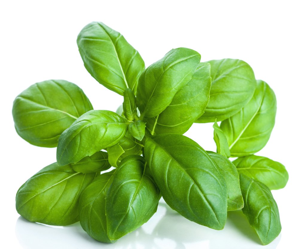 US Organic 100% Pure Basil Essential Oil with herbs
