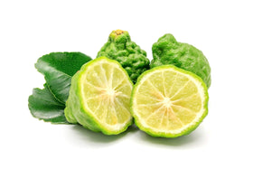 US Organic Bergamot Essential Oil with natural background