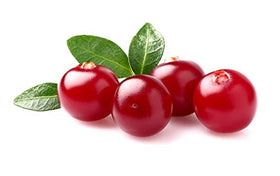 US Organic Cranberry Seed Oil 30ml on a wooden surface