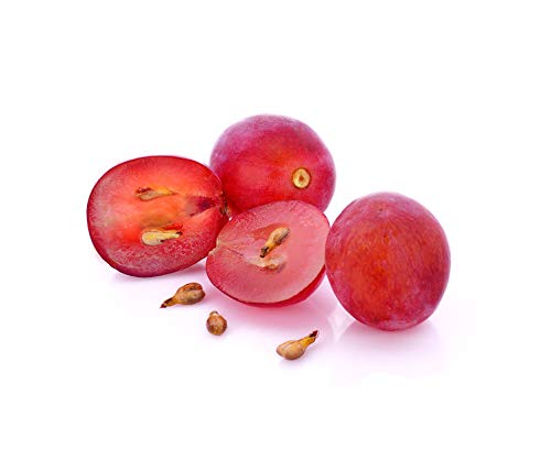 US Organic Grape Seed Oil label details