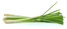 US Organic Lemongrass Essential Oil packaging
