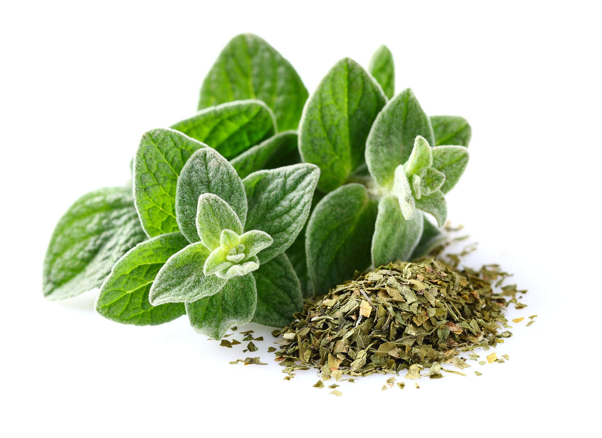 US Organic Oregano Essential Oil 30ml packaging
